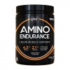 Аминокислотный комплекс QNT Amino Endurance - 350 грамм (фото-0)