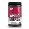 ON Essential Amino Energy - 1 порция ( 9 грамм) (фото-0)