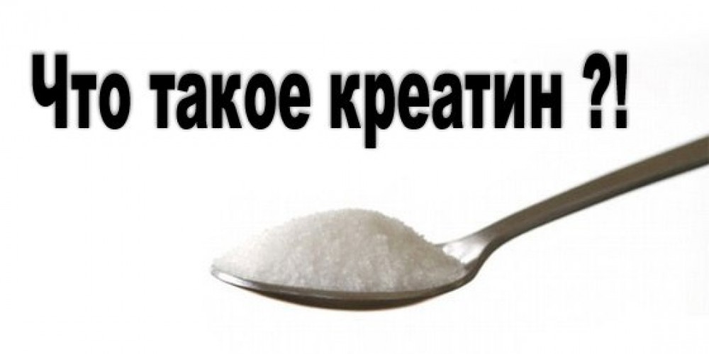 Что такое креатин? 