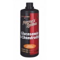 Power System Glucosamine Chondroitin - 1000 мл