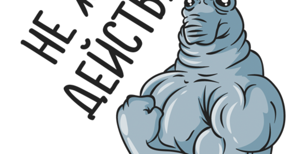 Дождались! Огромный выбор спортивного питания!