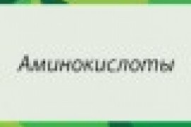 Аминокислоты