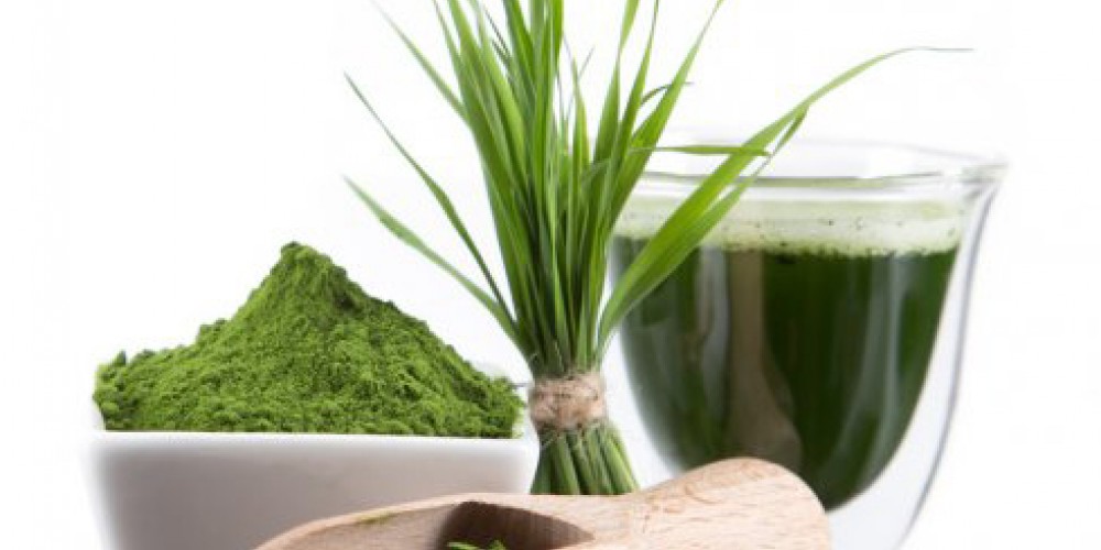 Хлорелла: что это, полезные свойства