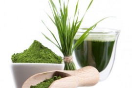 Хлорелла: что это, полезные свойства