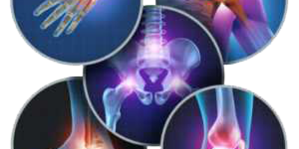 Виды коллагена: морской, животный, растительный