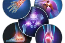 Виды коллагена: морской, животный, растительный