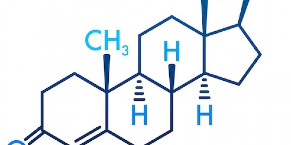 Повышение тестостерона у мужчин: для чего нужно, лучшие добавки