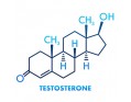 Повышение тестостерона у мужчин: для чего нужно, лучшие добавки