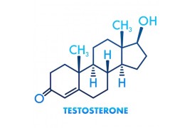 Повышение тестостерона у мужчин: для чего нужно, лучшие добавки