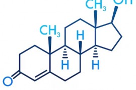 Повышение тестостерона у мужчин: для чего нужно, лучшие добавки