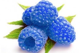 Голубая малина (Blue Raspberry) - что это за вкус?