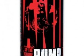 Новое поступление Спортивного Питания