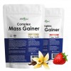 Complex Mass Gainer - клубника-ваниль (2 вкуса по 1500 г) (фото-0)