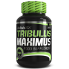 Повышение тестостерона BioTech Tribulus Maximus 1500 mg - 90 таблеток (фото-1)