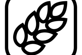 Белково-углеводное чередование (БУЧ). Что это такое?