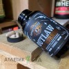 Жиросжигатель Captain's Choice Outlaw Fat Burner - 120 капсул (2 шт по 60 капсул) (фото-2)