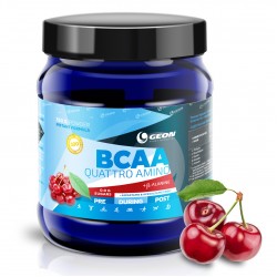 GEON BCAA Quattro Amino - 350 грамм