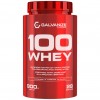 Galvanize Nutrition 100 Whey - 900 грамм фисташки (фото-0)