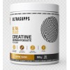 UltraSupps Ultra Gold Creatine Monohydrate Powder - 500 грамм (фото-0)