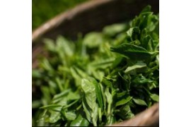 Экстракт зеленого чая