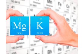 Магний и Калий