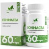 Эхинацея NaturalSupp Echinacea 500 mg - 60 капсул (фото-0)