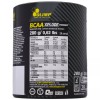 Olimp BCAA Xplode Powder - 280 грамм (фото-1)