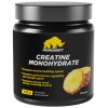 Креатин моногидрат Prime Kraft Creatine Monohydrate - 200 грамм ананас (фото-0)