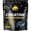 Креатин моногидрат Prime Kraft Creatine Monohydrate - 500 грамм натуральный (фото-0)