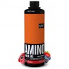 Аминокислотный комплекс QNT Amino Acid Liquid Formula - 500 мл (фото-0)