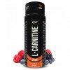 QNT L-Carnitine 3000 - 1 шот (80 мл) (фото-0)
