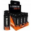 QNT L-Carnitine 3000 - 1 шот (80 мл) (фото-2)