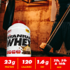 SAN 100% Pure Titanium Whey - 909 грамм (фото-1)