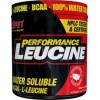 SAN Performance Leucine 200 грамм (фото-0)