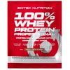 Scitec Nutrition 100% Whey Protein Professional - 30 грамм (1 пробник) (фото-0)