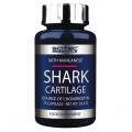Scitec Nutrition Shark Cartilage - 75 капсул