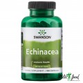 Swanson Эхинацея Echinacea 400 mg - 100 капсул