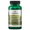 Босвеллия и куркумин Swanson Boswellia & Curcumin 300 mg - 60 капсул (фото-0)