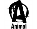 Обновленная версия Animal Pak от Universal Nutrition