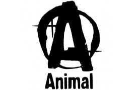 Обновленная версия Animal Pak от Universal Nutrition