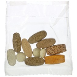 Universal Nutrition Animal Pak - 1 пакетик