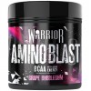Аминокислотный комплекс Warrior Amino Blast - 270 грамм (фото-2)