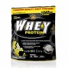 All Stars Whey Protein - 500 г (фото-0)