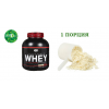Optimum Nutrition Performance Whey - 1 порция (фото-0)