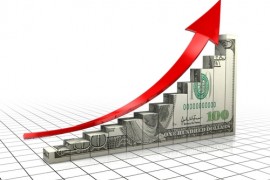 Как на Вас повлиял кризис и рост курса доллара?