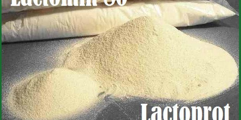 Лактомин 80. Отзывы профессионалов