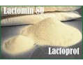 Лактомин 80. Отзывы профессионалов