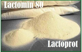 Лактомин 80. Отзывы профессионалов