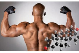 Тестостерон