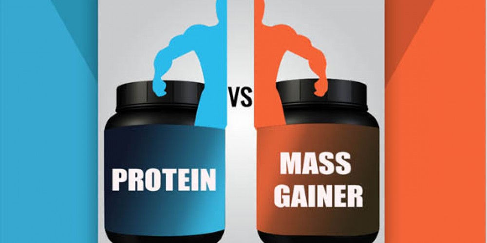 Протеин или гейнер?